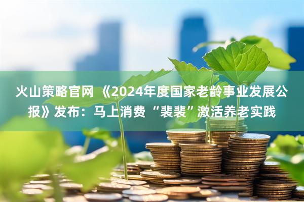 火山策略官网 《2024年度国家老龄事业发展公报》发布：马上消费 “裴裴”激活养老实践