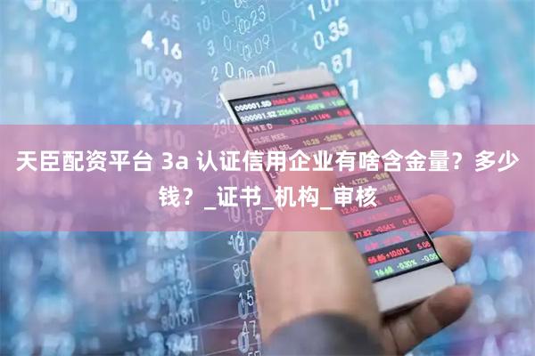 天臣配资平台 3a 认证信用企业有啥含金量？多少钱？_证书_机构_审核
