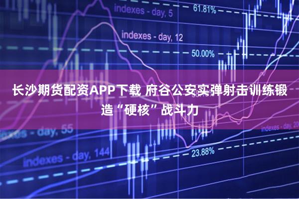长沙期货配资APP下载 府谷公安实弹射击训练锻造“硬核”战斗力
